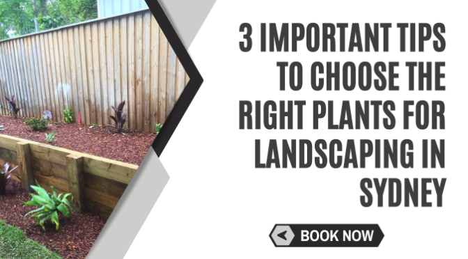 3 Important Tips to Choose the Right Plants for Landscaping in Sydney